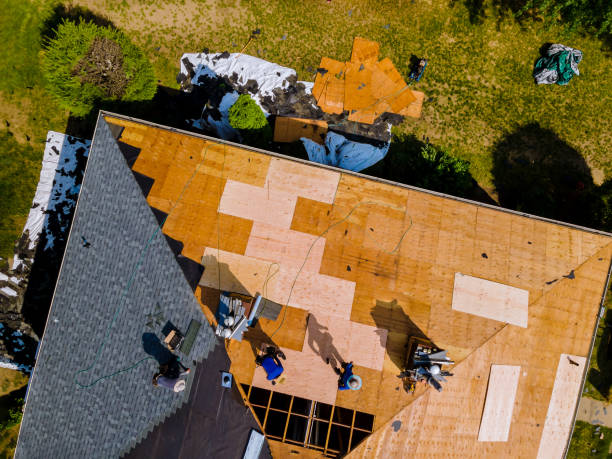 Best Roof Maintenance Services  in Seeley Lake, MT